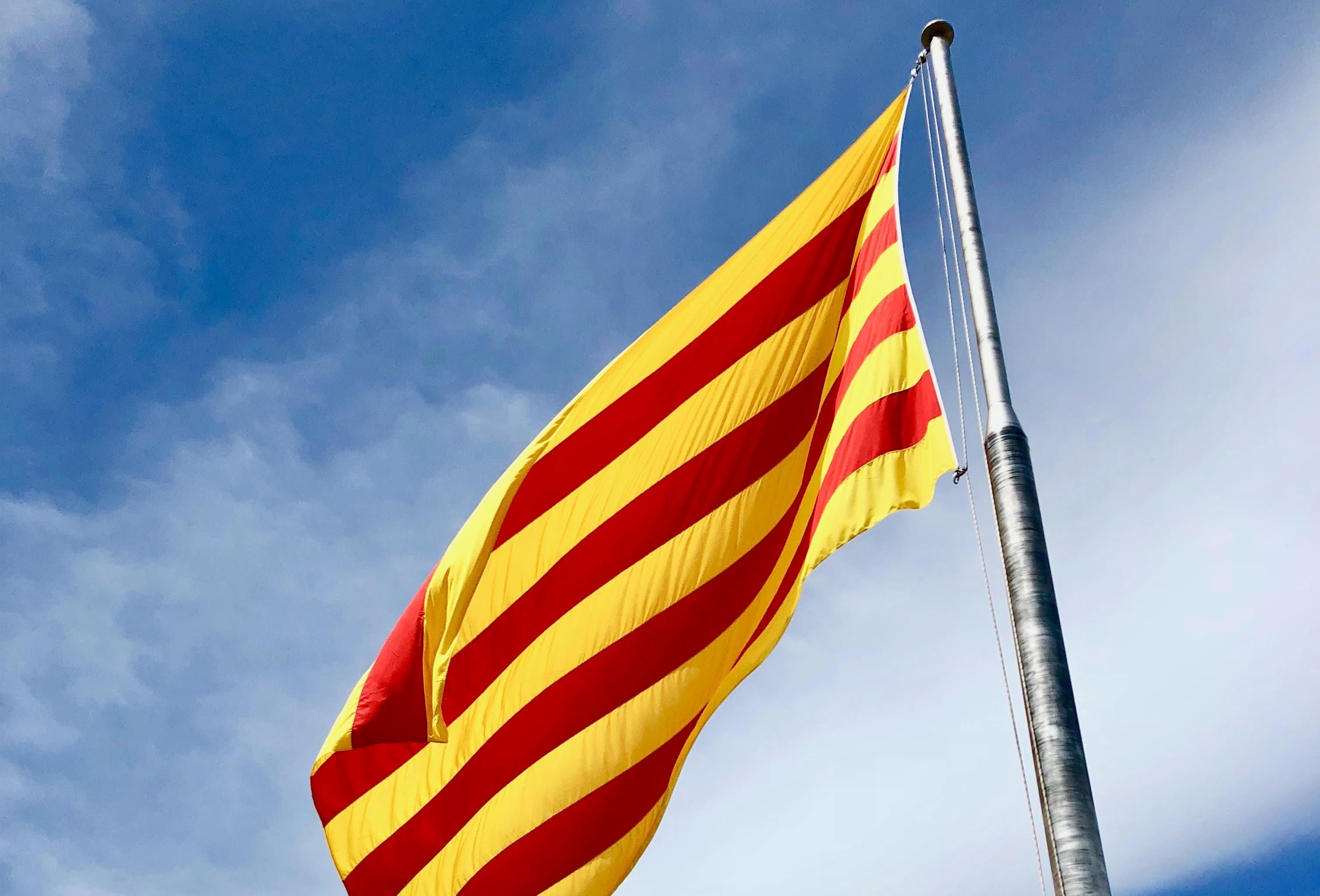 Les preguntes sobre l'Estatut que sempre cauen als exàmens